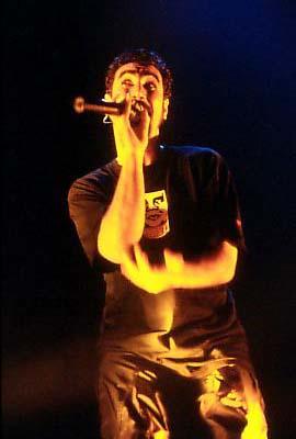 Serj Tankian
